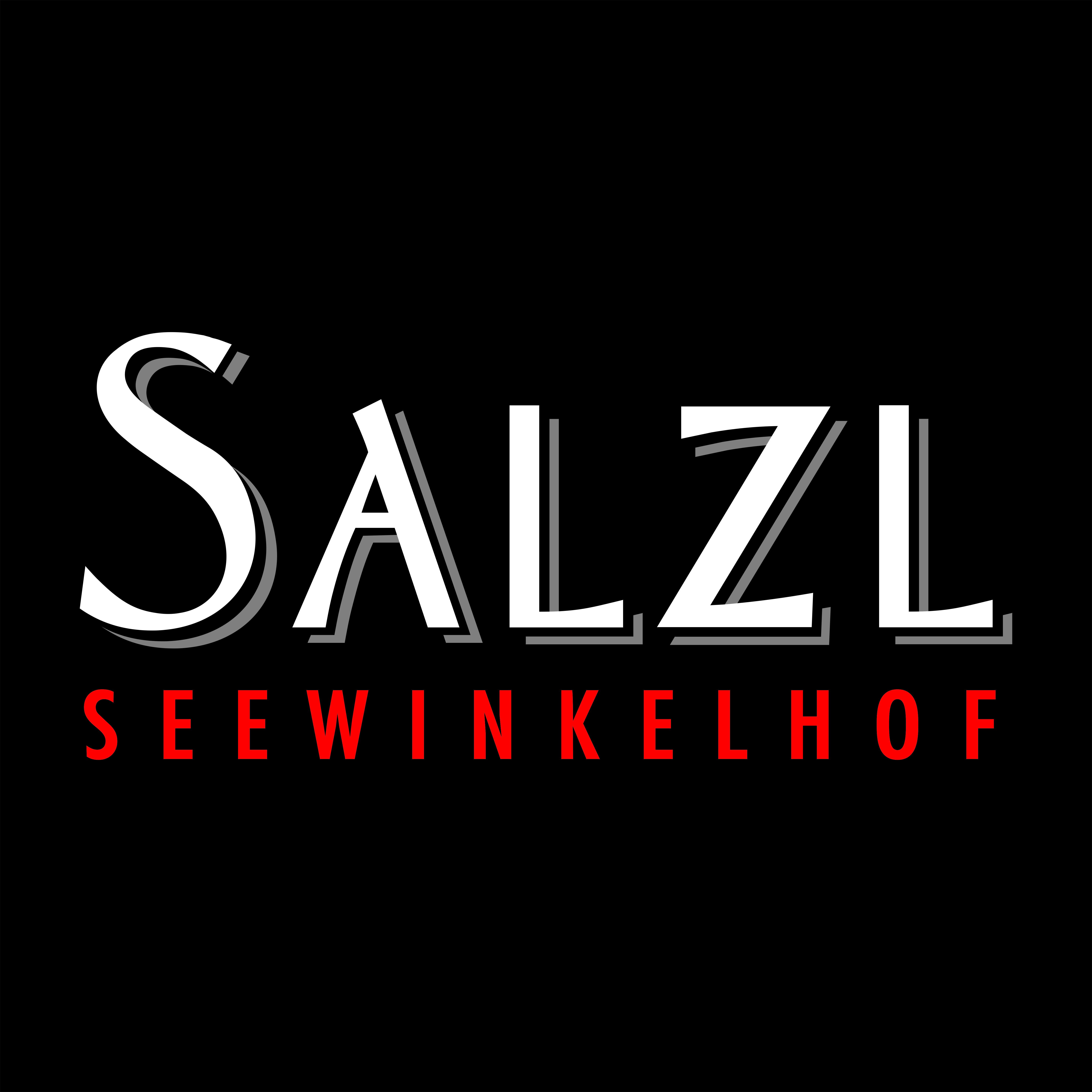 Salzl Logo
